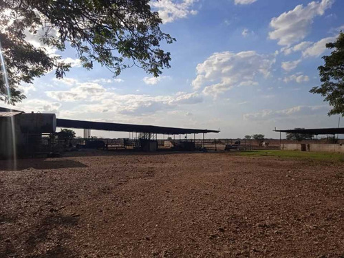 Imagen 4 de 14 de Finca 303 Hectáreas En Guárico, Vía Santa Rita.