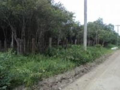 Imagem 4 de 9 de Chácara Próximo Praia Litoral Sul 17000m²- Ref. 3599/dz