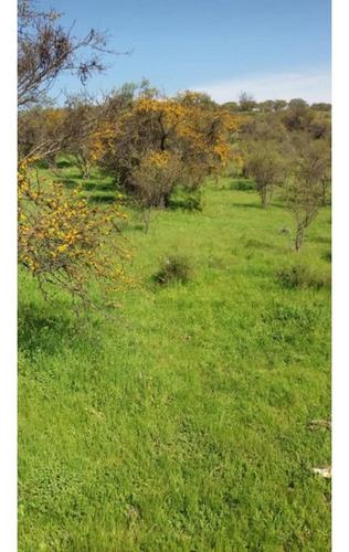 Se Vende Parcela Limache Los Laureles