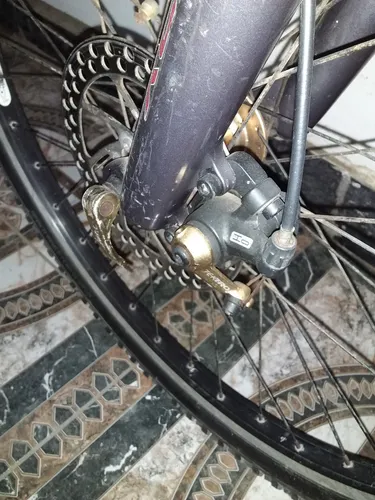 Raleigh Mojave 4.0