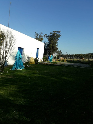 Campo 57 Has - Agricola Ganadero En Minas! Muy Bueno!- Ref: 1193