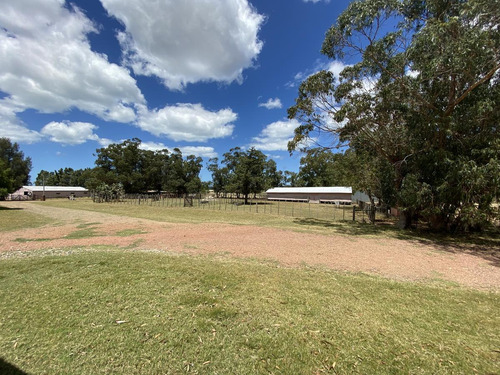 Imagen 10 de 14 de Chacra A La Venta Sobre Ruta Interbalnearia Excelente Ubicación 36há O Fracción