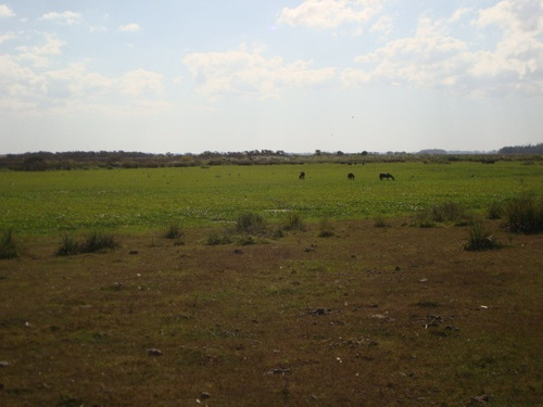 Imagen 8 de 9 de 415 Hectáreas Ganaderas Agrícolas A 23 Km De Treinta Y Tres.