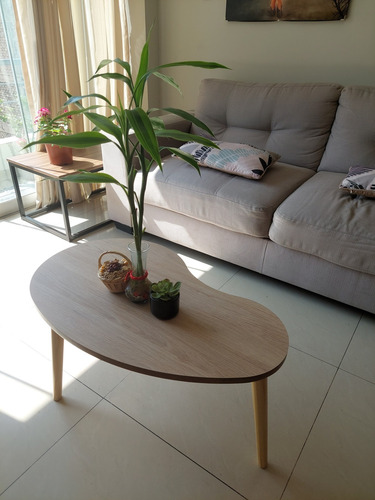 Mesa De Centro Estilo Riñon Con Patas Pino