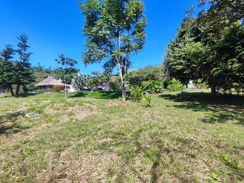 Finca En Barbosa
