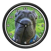 Comprar Signmission Shar Pei Wall Rechan Dog Doggie Pet Raza Regalo