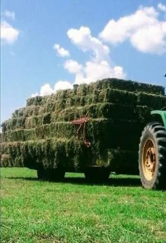 Imagen 2 de 4 de Hilo De Enfardar Para Fardo Cuadrado Rollo 4 Kg Agroinsumos