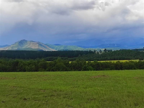 Parcelas Camino A San Fabián De Alico, Rol Propio, 5000m2