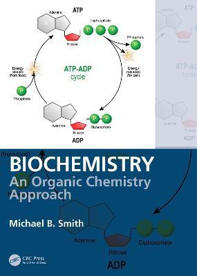 Libro Biochemistry : An Organic Chemistry Approach - Mich...