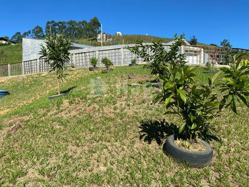 Imagem 27 de 30 de Sítio À Venda No Bairro Limeira - Brusque/sc - 2014