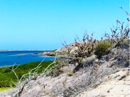 Terreno En Venta De 89 Hectareas En Comondu, Baja California Sur