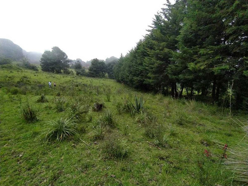 Imagen 4 de 4 de Terreno Para Casa De Descanso