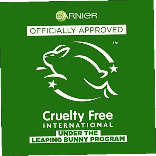 Garnier Fructis Style Curl Stretch Loosening Pudding,