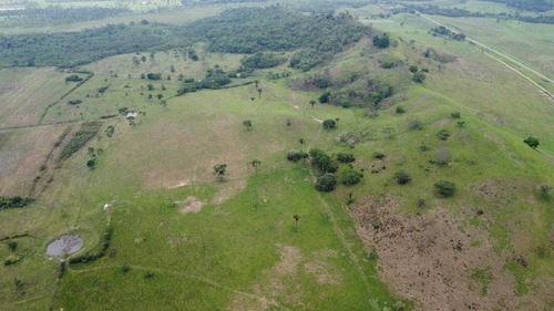 Imagen 19 de 25 de Jd. Se Vende Hermosa Finca En San Antonio De Caparo