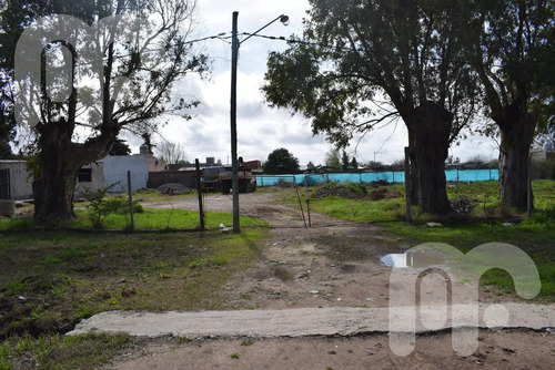 Imagen 8 de 10 de Venta Terreno - Los Hornos