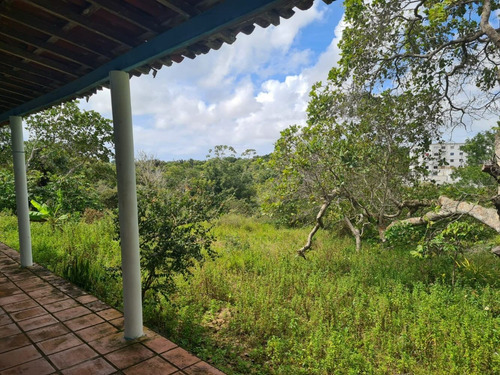 Imagem 5 de 8 de Sitio Em Areia Branca - Lauro De Freitas