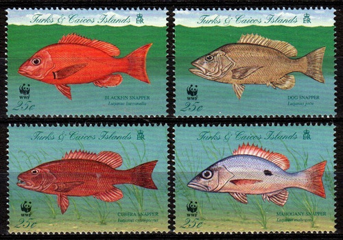 Fauna - Wwf - Peces - Turcas & Caicos - Serie Mint