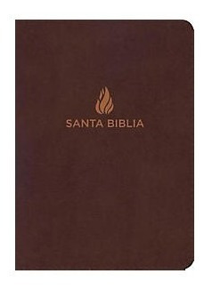 Biblia Letra  Gigante Nvi Piel Fabricada Marrón
