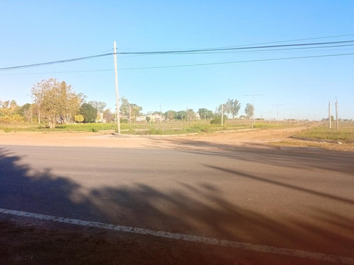 Imagen 6 de 8 de Terreno - Gualeguaychu
