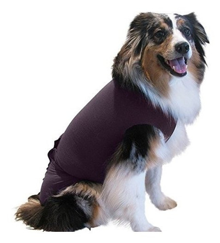 Surgi Snuggly Cono De Perro - Collar Y Alternativa Para Perr