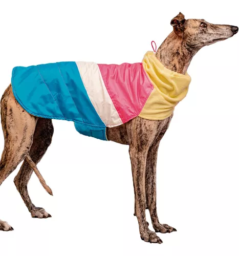 Capas Impermeables Para Perros Forrada Talle M*