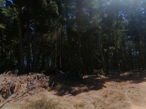 Parcela, Plana, A Orillas Del Camino Antiguo A Las Docas