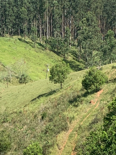 Imagem 4 de 6 de K22-terreno Cercado E Demarcado