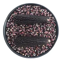 Comprar Maiz Rojo Y Maiz Azul Criollo De Oaxaca (5 Kg De C\u002Fu)