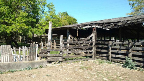 Vendo Rancho Ganadero 223 Hectáreas Temapache Veracruz