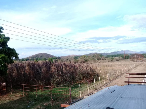 Imagen 3 de 14 de Finca En Tinaquillo . Edo Cojedes Glira