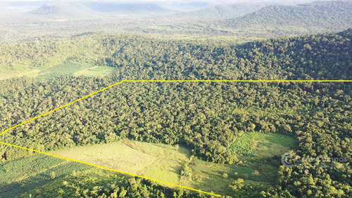 Chacra En Venta De 49 Ha En Aristóbulo Del Valle