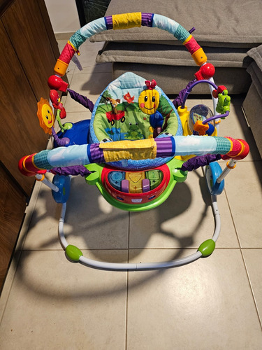 Silla Saltarina Baby Einstein Muy Buen Estado