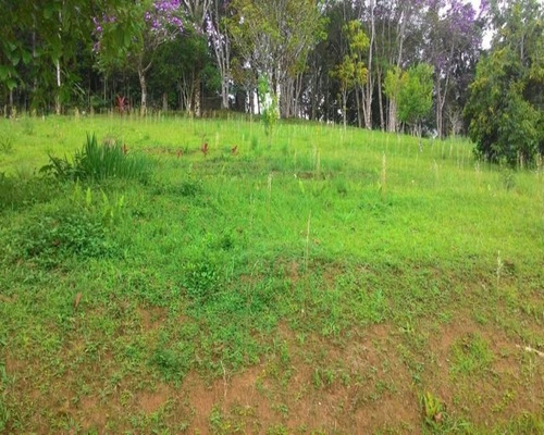 Chacara - Ch00082 - 32820338