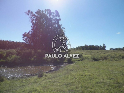 Imagen 19 de 22 de Chacras-venta-cerros-azules-ch064