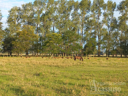 Lote En Chacras De La Alameda, Carmen De Areco 