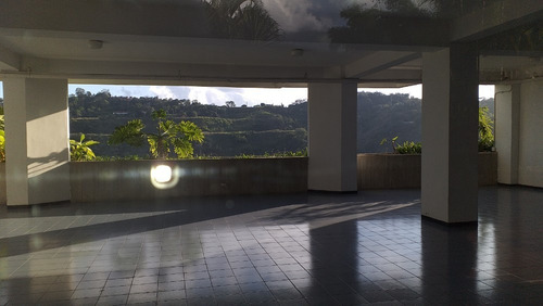 Imagen 12 de 14 de Amplio Apartamento Urb. Miranda, Edificio Con Pozo