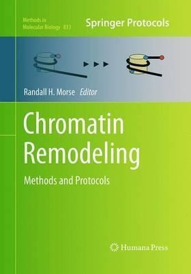 Chromatin Remodeling - Randall H. Morse (paperback)