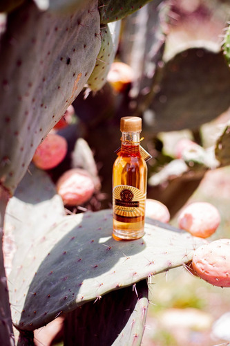 Imagen 5 de 5 de Bebida Artesanal De Xoconostle 50 Ml