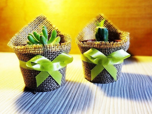 Recuerdos Cactus Encintados Plantas Para Matrimonios Regalos (Usado)