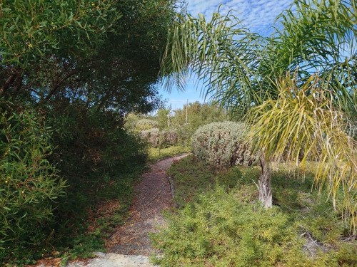Terreno En Venta En Tongoy