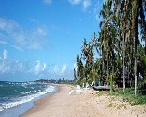Imagem 5 de 6 de Terreno - Pcbvag - 32313377