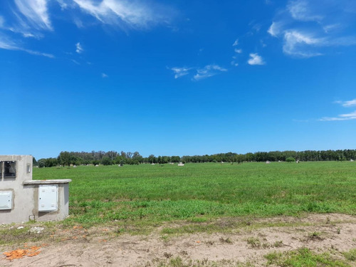 Imagen 1 de 16 de Lote Terreno 172 En Venta. Barrio Santa Ines. Comarcas De Lujan