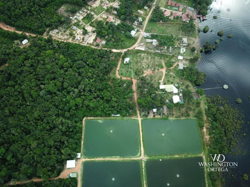 Imagem 21 de 30 de Fazenda Com 4 Dormitórios À Venda, 2460000 M² Por R$ 3.200.000,00 - Itacoatiara - Itacoatiara/am - Fa0001