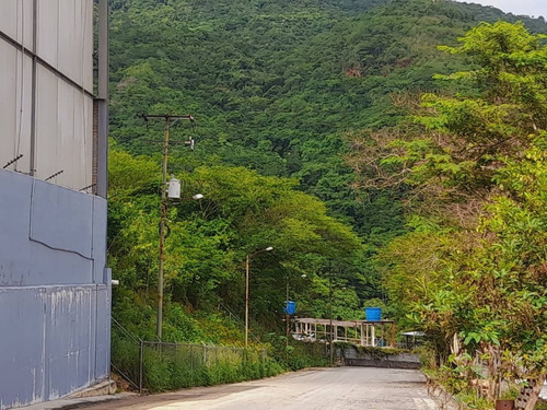Imagen 4 de 30 de Terreno En Mampote Mls: 23-6747 (linda Sahhar)