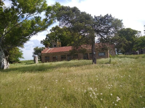 Imagen 7 de 14 de Quinta En Venta - 3 Dormitorios 1 Baño - 52451mts2 - Las Flores