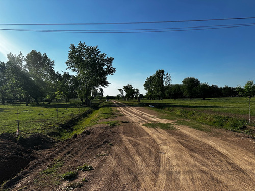 Lotes A La Venta En Olivera, Luján