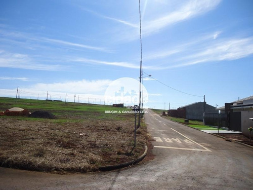 Imagem 4 de 14 de Terreno À Venda, Morumbi - Cascavel/pr - 11536