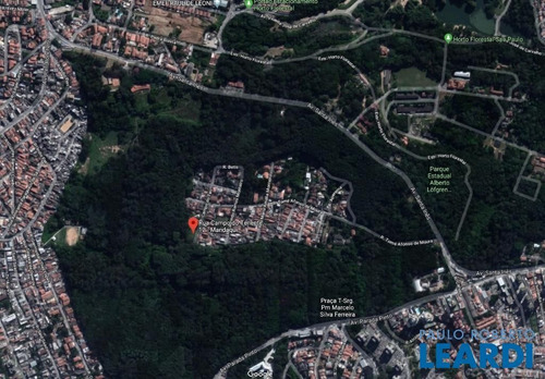 Imagem 1 de 4 de Terreno - Vila Amélia - Sp - 382735