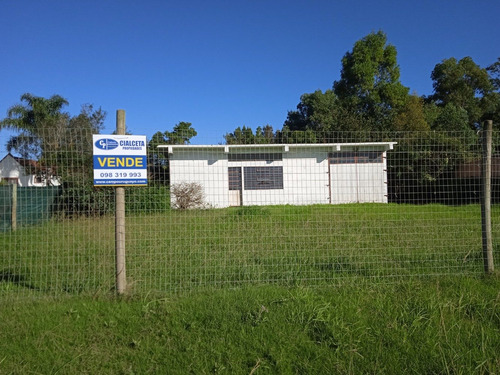Local Con Baño, Frente A Inerbalnearia