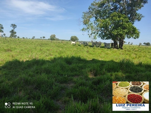 Fazenda À Venda Em Duere - To - De 60 Alqueirões (pecuária) - 1584